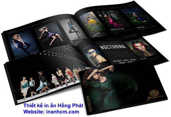 Thiết kế Catalogue Quận Tân Bình