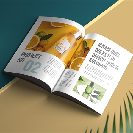 Hồ Sơ Năng Lực - AK 004