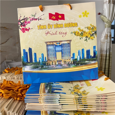 Túi giấy Ivory Tỉnh Ủy Bình Dương